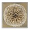 Stupell Industries Abstract Dandelion Flower Full Bloom Framed Giclee Art